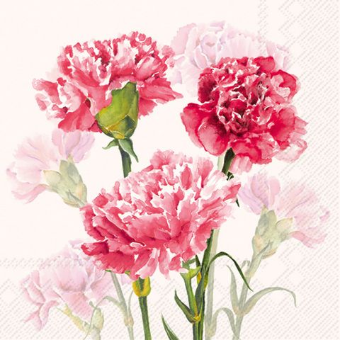 IHR Luncheon Timeless Red