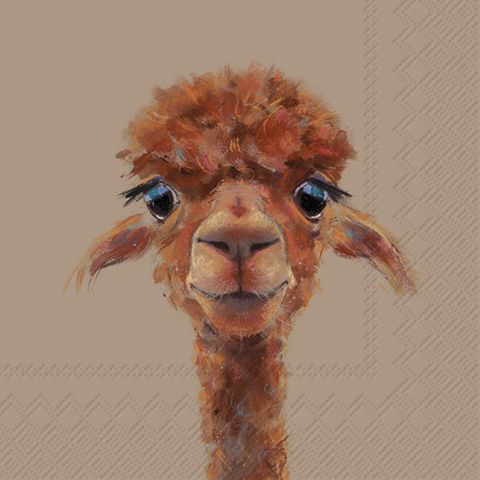 IHR Luncheon Alpaca Fernando