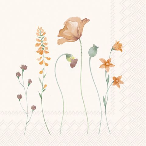 IHR Luncheon Cristelle