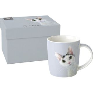 IHR Porcelain Mug Boxed Cat Stella Light Blue