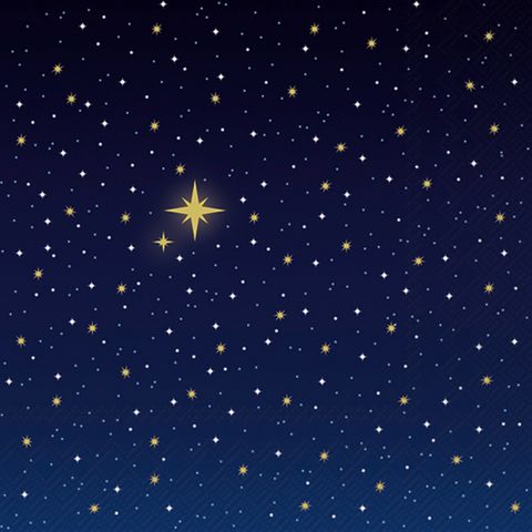 IHR Luncheon Starry Sky