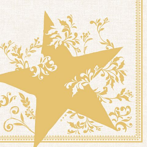 IHR Luncheon Splendid Star Cream