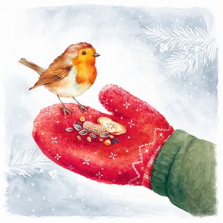 IHR Luncheon  Feeding Robin