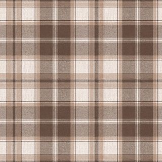 IHR Luncheon Check Brown