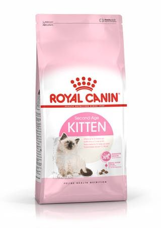 RC Kitten  2kg