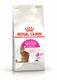 Royal Canin Cat Food