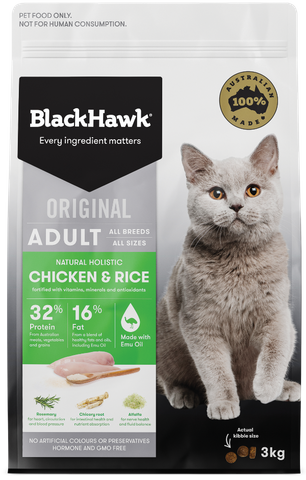 Blackhawk kitten cheap