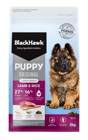 Black hawk large breed chicken outlet puppy