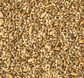 Topflite Budgie Seed Mix  1kg