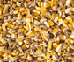 Topflite Dove Seed Mix  5kg