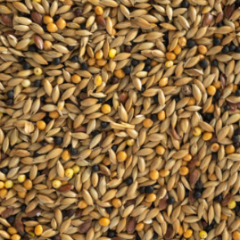 Topflite Canary Mix  2kg