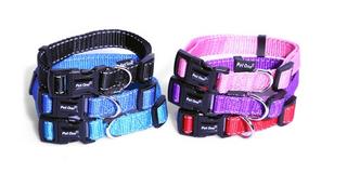 Pet One Dog Collar Reflective Adjustable SML 15mm Blue