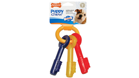 Nylabone Puppy Teething Keys XS (N219P)