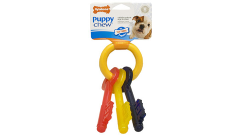Nylabone Puppy Teething Keys Small (N220P)