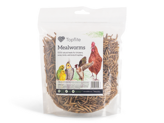 Topflite Mealworms 125g