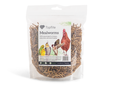 Topflite Mealworms 125g