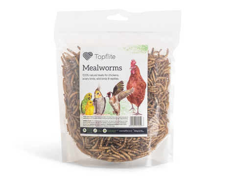 Topflite Mealworms 125g