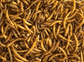 Topflite Mealworms 125g