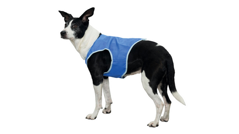 Trixie Cooling Vest Small