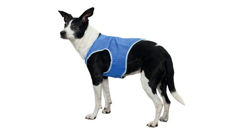 Trixie Cooling Vest Medium