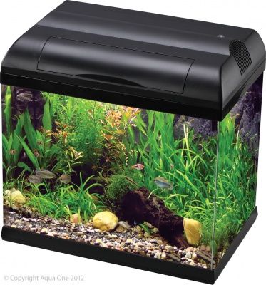 Aqua One EcoStyle 47 Aquarium 38L (Black)