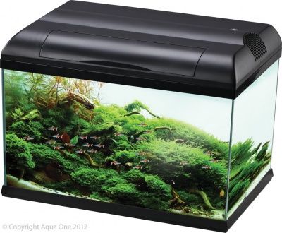 Aqua One EcoStyle 61 Aquarium 70L (Black)