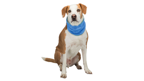 Trixie Cooling Bandana Large