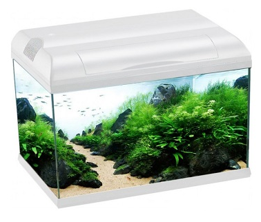 Aqua One EcoStyle 61 Aquarium 70L (White)