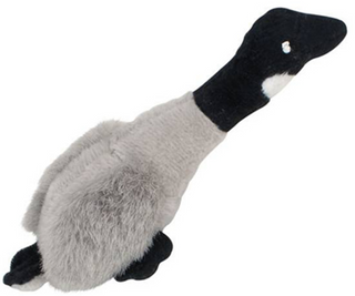 Dog Toys