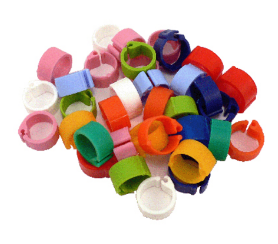 Dove Leg Rings Plastic Click (Single)