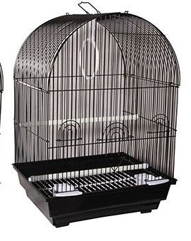 Avi One Bird Cage 320 Arch Top