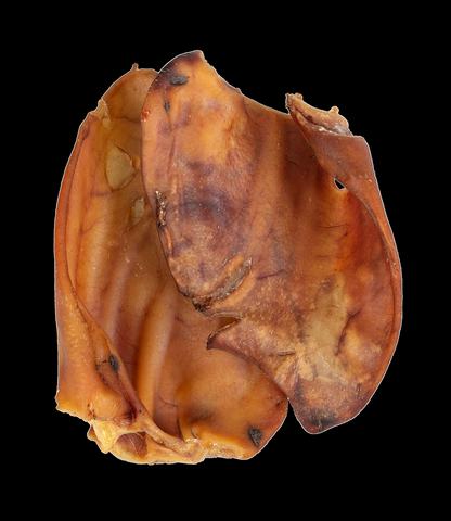 Pig Ear Single Treat
