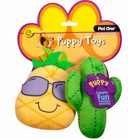 Pet One Pupy Toy Cactus Family Assorted 2pcs