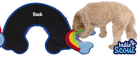 Indie & Scout Rainbow Snuffle Mat