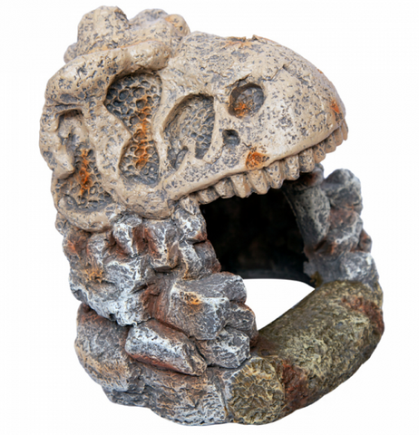 Aqua One Ornament - Dinosaur Cave Skull Medium 13.5x10.5x13.5cm