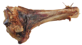 Beef Shin Bone Half Size