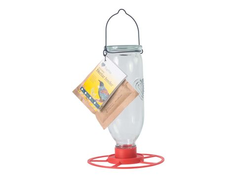 Topflite Nectar Feeder (Glass)