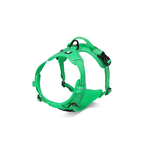 True Love Deluxe Mesh Harness Green Sml