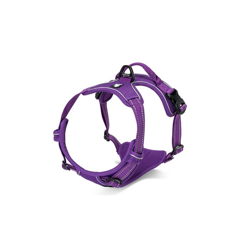 True Love Deluxe Mash Harness Purple Med