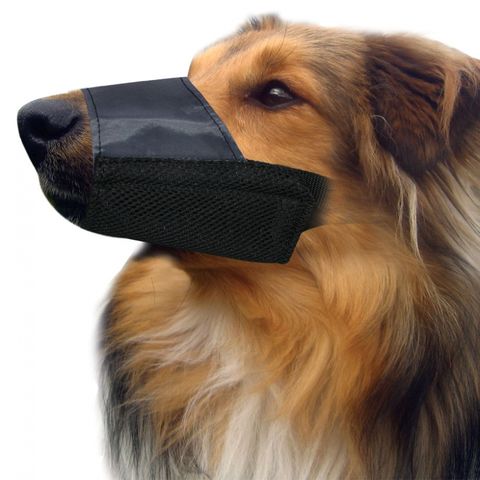 Pet One Muzzle - Nylon (M) Black