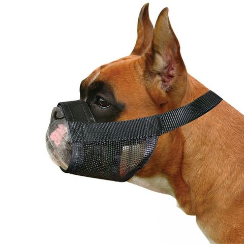 Pet One Muzzle - Nylon Adjustable Boxer Black