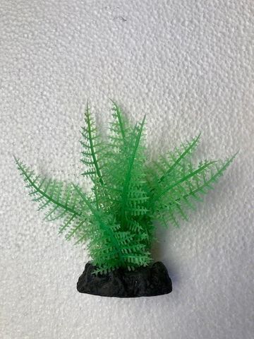 * Reptile One Plant - Fern 10cm