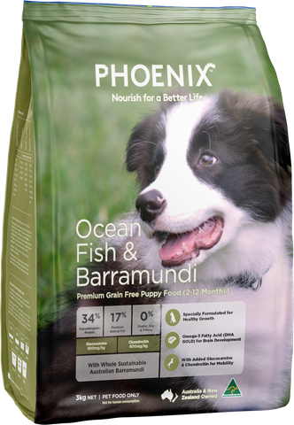 Phoenix Puppy Ocean Fish & Barramundi  3kg