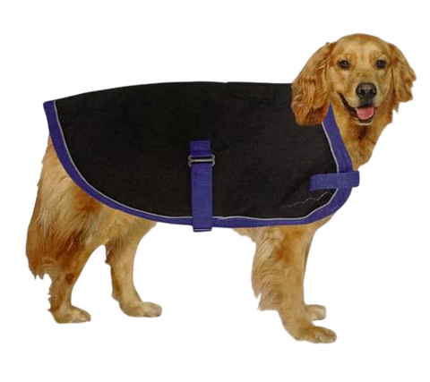 * Pet One Dog Coat - NightWalker 55cm Black/Blue