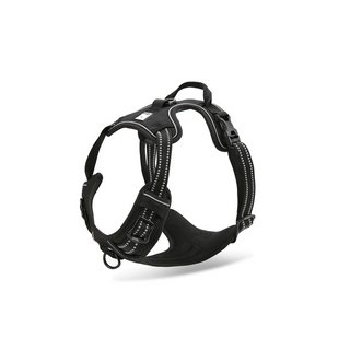 True Love Deluxe Mesh Harness Black XSml