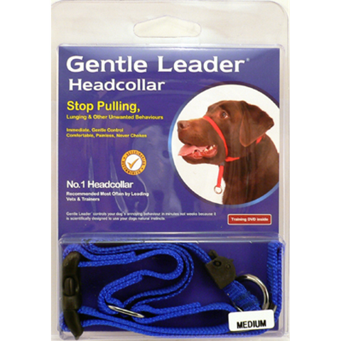 Gentle Leader - Head Collar Med Blue