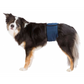 Trixie Belly Band for Male Dogs S-M 37-45cm