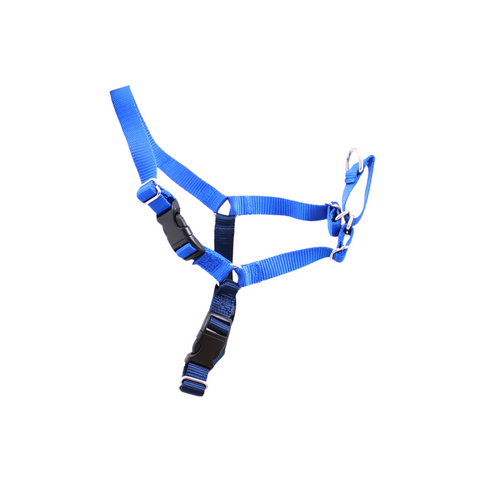 Gentle Leader - Easy Walk Harness Large Blue