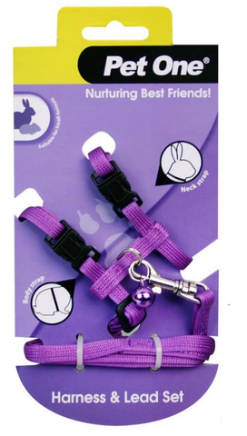 Pet One Leash & Harness - Rabbit or Guinea Pig Purple