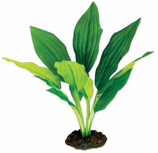 Aqua One Silk Plant Amazon Sword Large